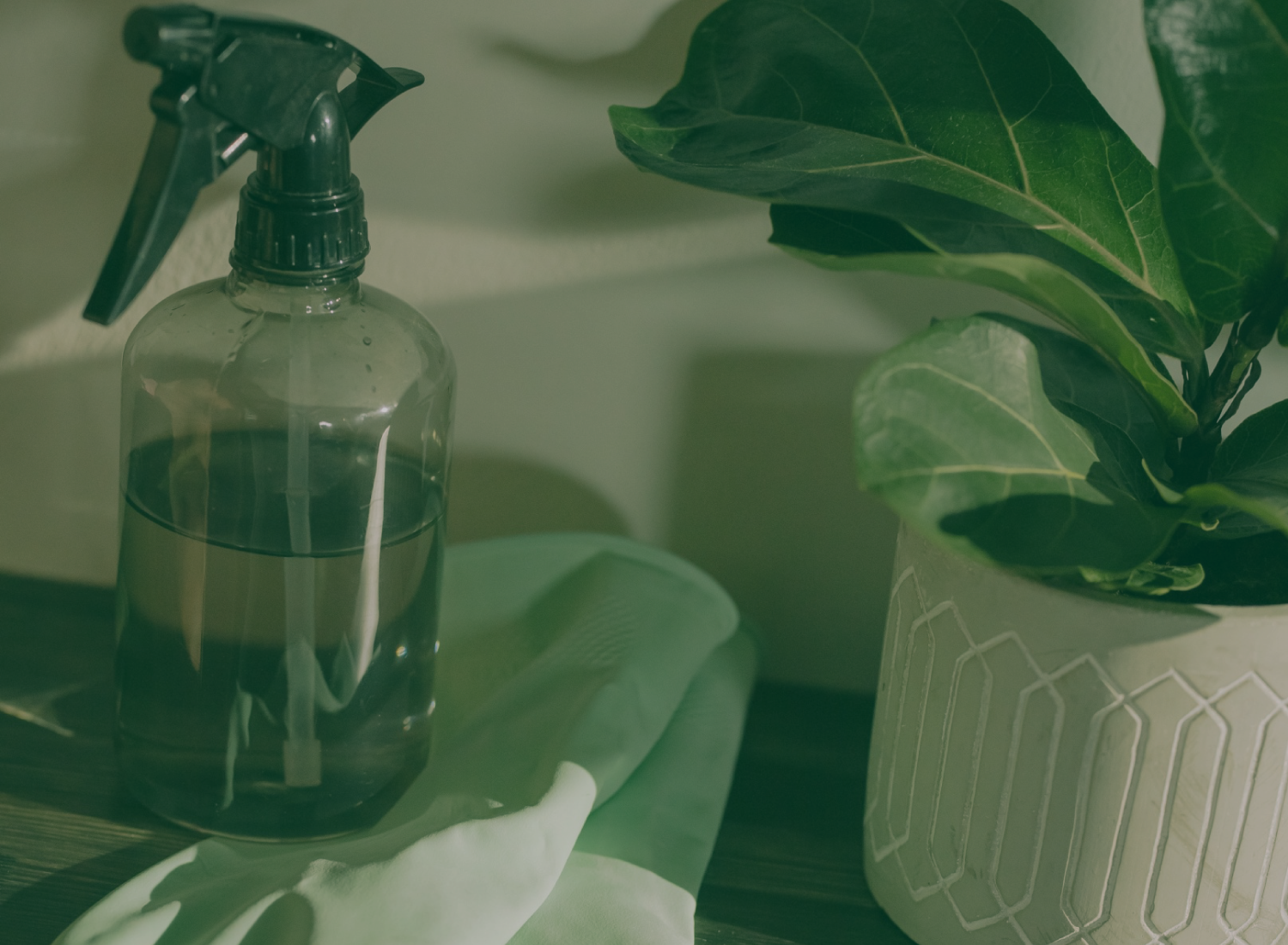 Borrifador transparente com líquido, pano branco e planta em vaso branco