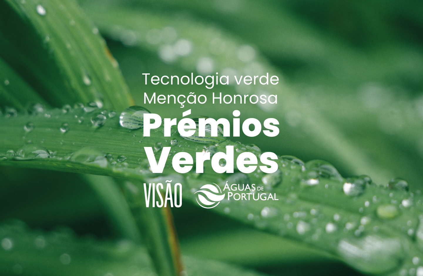 Folhas verdes com gotas de água e texto sobreposto Prémios Verdes