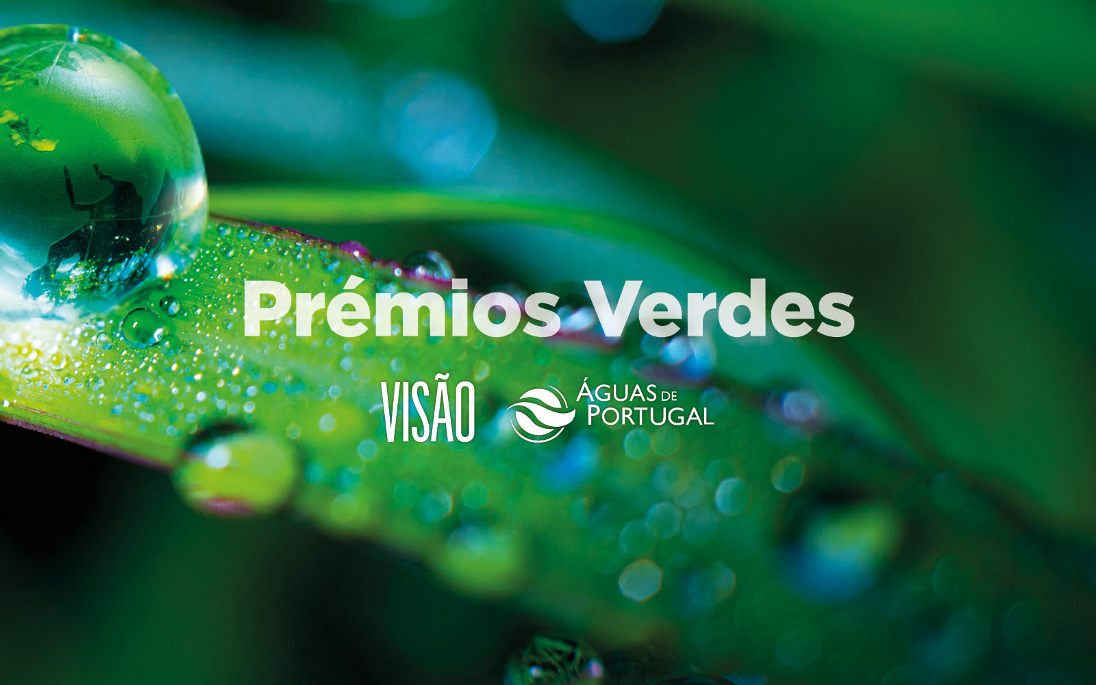 Men&ccedil;&atilde;o honrosa em tecnologia verde