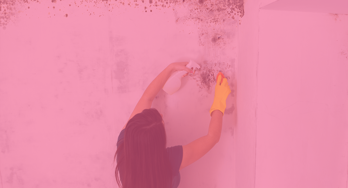 Pessoa a limpar parede com esponja e spray em ambiente interior