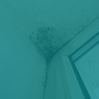 Canto de parede com humidade e bolor junto a janela branca