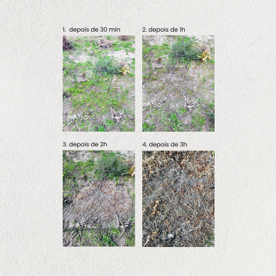 Quatro fotos do solo com texto indicando tempos diferentes de mudança