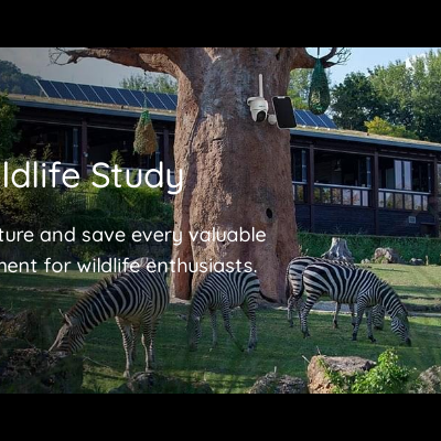 Zebras a pastar perto de uma árvore com câmeras de vigilância e um edifício ao fundo em área de estudo da vida selvagem