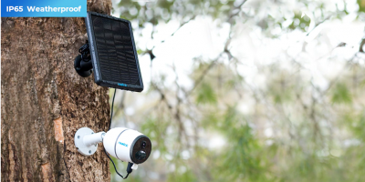 Câmara de segurança branca com painel solar montada em árvore