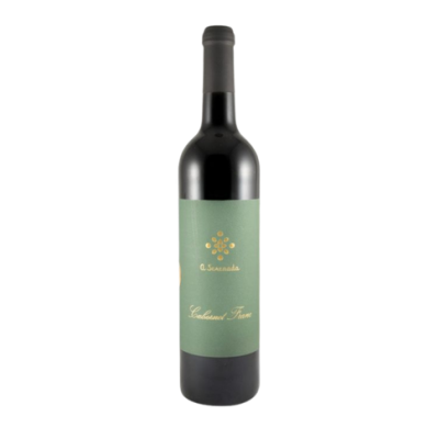 Garrafa de vinho tinto com rótulo verde e texto dourado