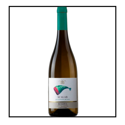 Garrafa de vinho branco Scalab Sauvignon Blanc Reserva com rótulo branco e rolha verde
