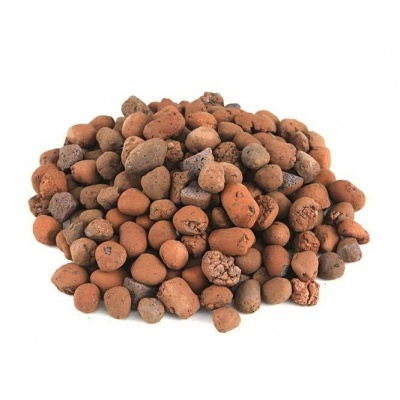 pedras de argila expandida castanhas com textura porosa