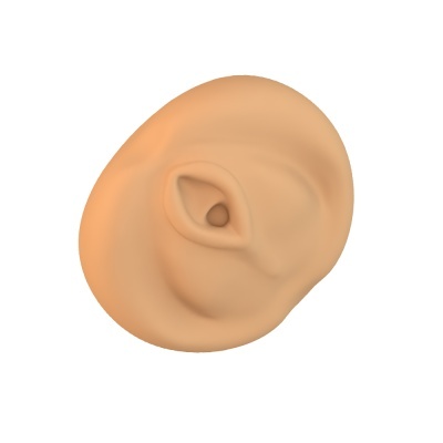 Orelha artificial bege com textura realista