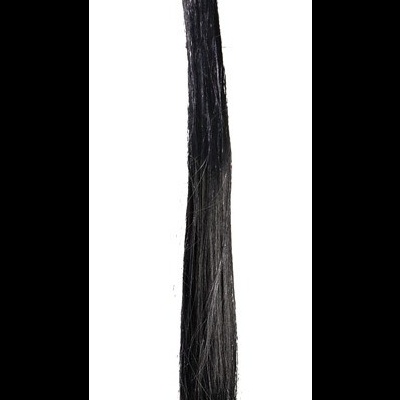 Plug anal preto com cauda longa em cabelo preto