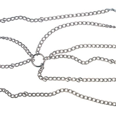 cadeia de metal com ganchos e molas