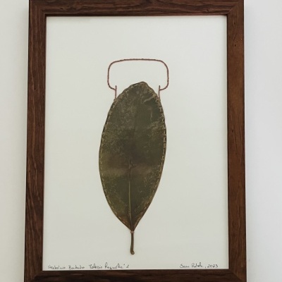 Quadro com folha seca verde em moldura de madeira escura