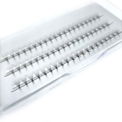 Estojo de pestanas falsas em tufos organizados em fileiras sobre almofada branca