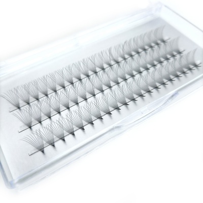Pestanas postiças em ramos organizados numa caixa transparente.