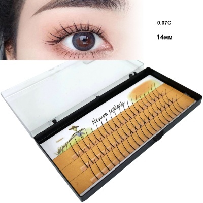 Caixa de pestanas falsas preta com texto e imagem de olho