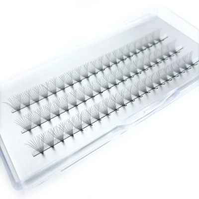 Conjunto de pestanas postiços em estojo transparente