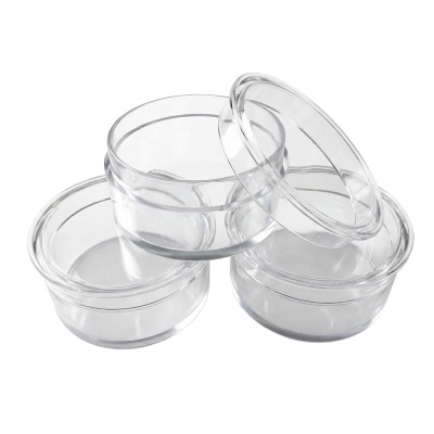 Recipientes plásticos transparentes com tampas