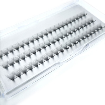 Caixa transparente com extensões de pestanas pretas organizadas em filas paralelas