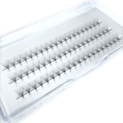 Caixa transparente contendo fileiras de cílios postiços pretos agrupados.