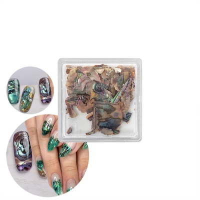 Fragmentos de concha coloridos em caixa para decoração de unhas