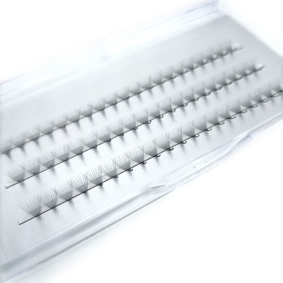 Pestanas postiços em feixes organizados em caixa transparente