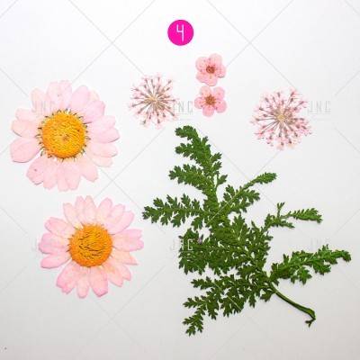 Flores e folha verde dispostas em fundo branco