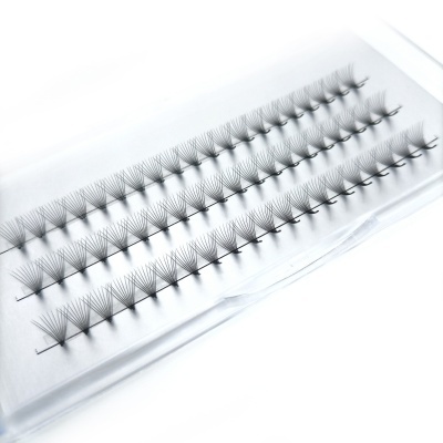 Pestanas postiços em leque organizados em embalagem transparente