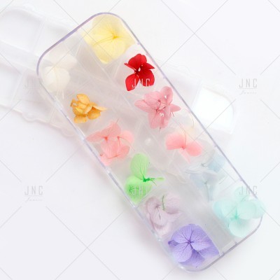 Caixa transparente com doze compartimentos contendo pétalas de flores secas coloridas