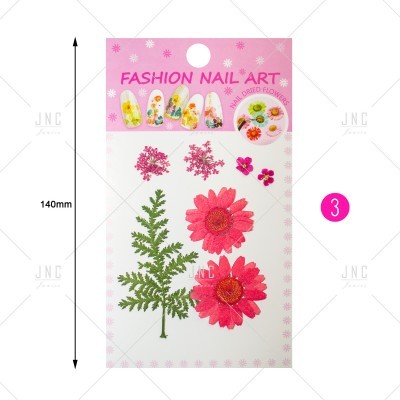 Estampas para unhas com flores e folhas secas em verde e rosa em pacote branco com topo rosa e texto