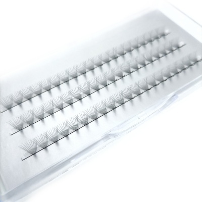 Pestanas postiços individuais pretos organizados em linhas numa caixa transparente