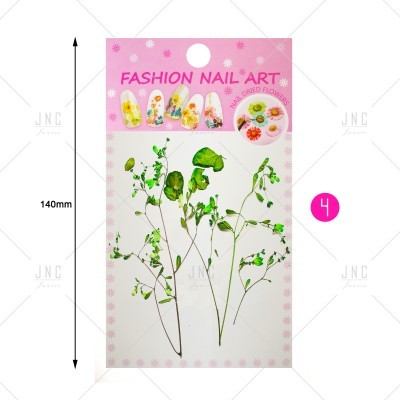 Pacote de decoração para unhas com flores secas naturais e ramos verdes em fundo branco