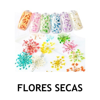 Unhas postiças transparentes com flores secas coloridas