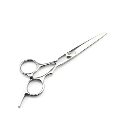 Tesoura de corte profissional em metal prateado com dois anéis para os dedos