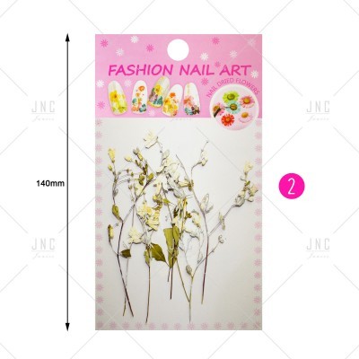 Pacote de flores secas para decoração de unhas FASHION NAIL ART com fundo cor-de-rosa