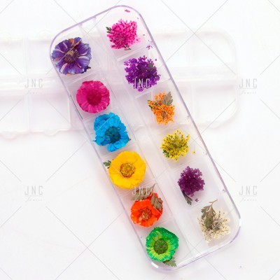 Estojo transparente com flores secas coloridas organizadas