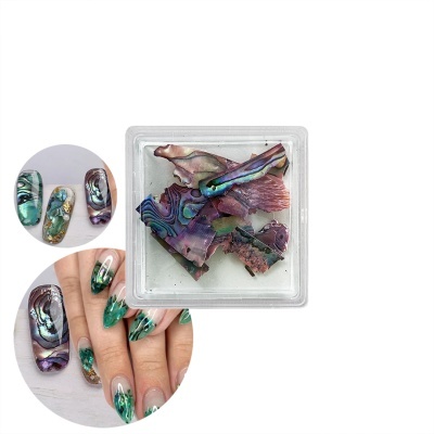 Pedaços de concha colorida para decoração de unhas em caixa transparente com exemplos de uso em unhas