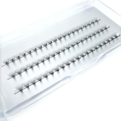 Conjunto de pestanas em leque pretas numa caixa transparente