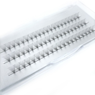 Estojo transparente com pestanas falsas agrupadas em leques