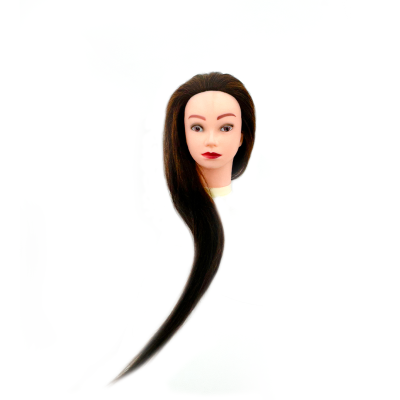 Cabeça de manequim com cabelo longo castanho escuro e liso num fundo branco