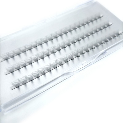Pestanas postiços individuais em bandeja plástica transparente