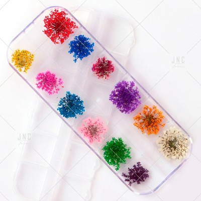 Estojo transparente com pequenas flores secas coloridas em compartimentos