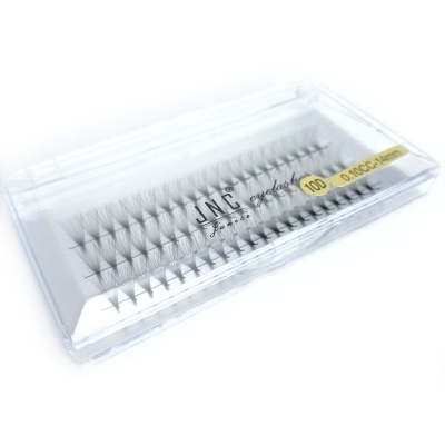 Estojo transparente com 100 tufos de pestanas falsas