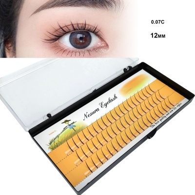 Estojo de pestanas falsas individuais pretas com texto Nesure Eyelash e olho com pestanas visíveis