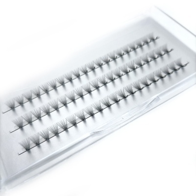 Estojo transparente com pestanas postiça individuais e uma pinça metálica