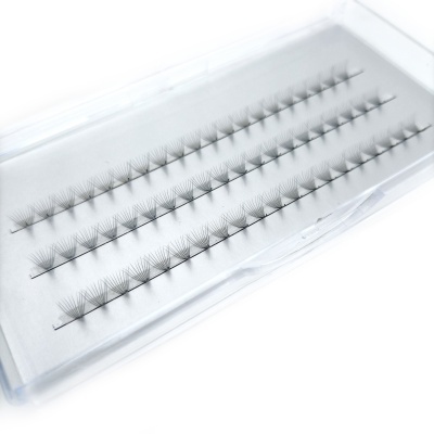 Pestanas postiços agrupados em tufos dentro de caixa transparente