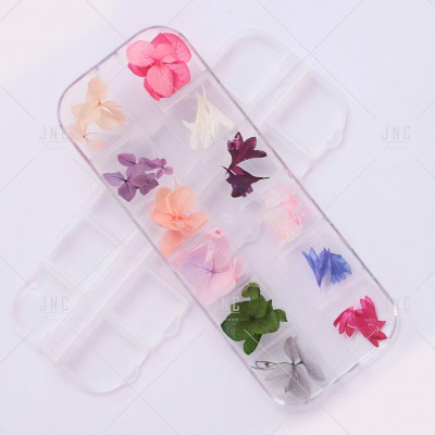 Estojo transparente de telemóvel com flores naturais prensadas coloridas