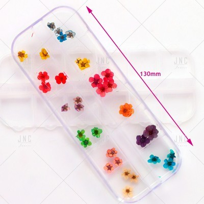 Estojo transparente com flores secas coloridas organizadas em compartimentos