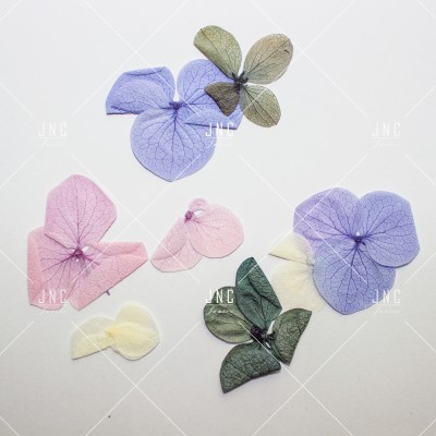 Pétalas de flores artificiais coloridas sobre fundo branco