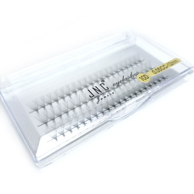 Caixa transparente com pestanas artificiais LNC Classic 100 pontos preta