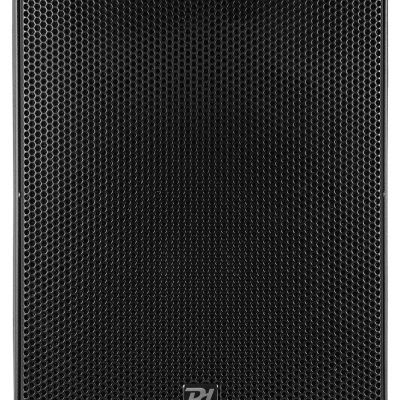 Coluna altifalante preta com grelha perfurada e logótipo PL Power Dynamics