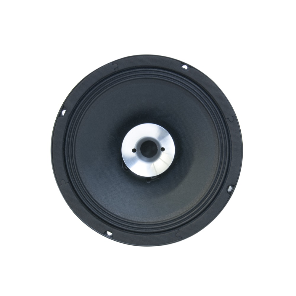 Altifalante coaxial de 10"200W RMS-Master Audio Coluna de som preta com centro metálico prateado